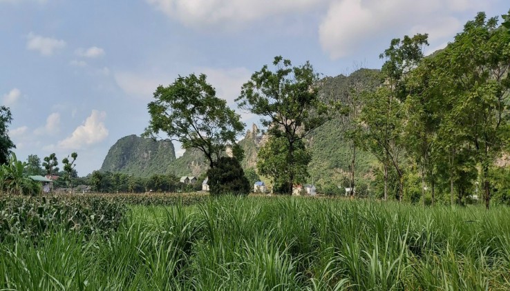 BÁN ĐẤT VIEW HỒ CỰC ĐẸP TẠI -HÀ NỘI